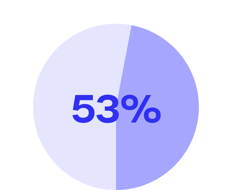 Pie Chart 53