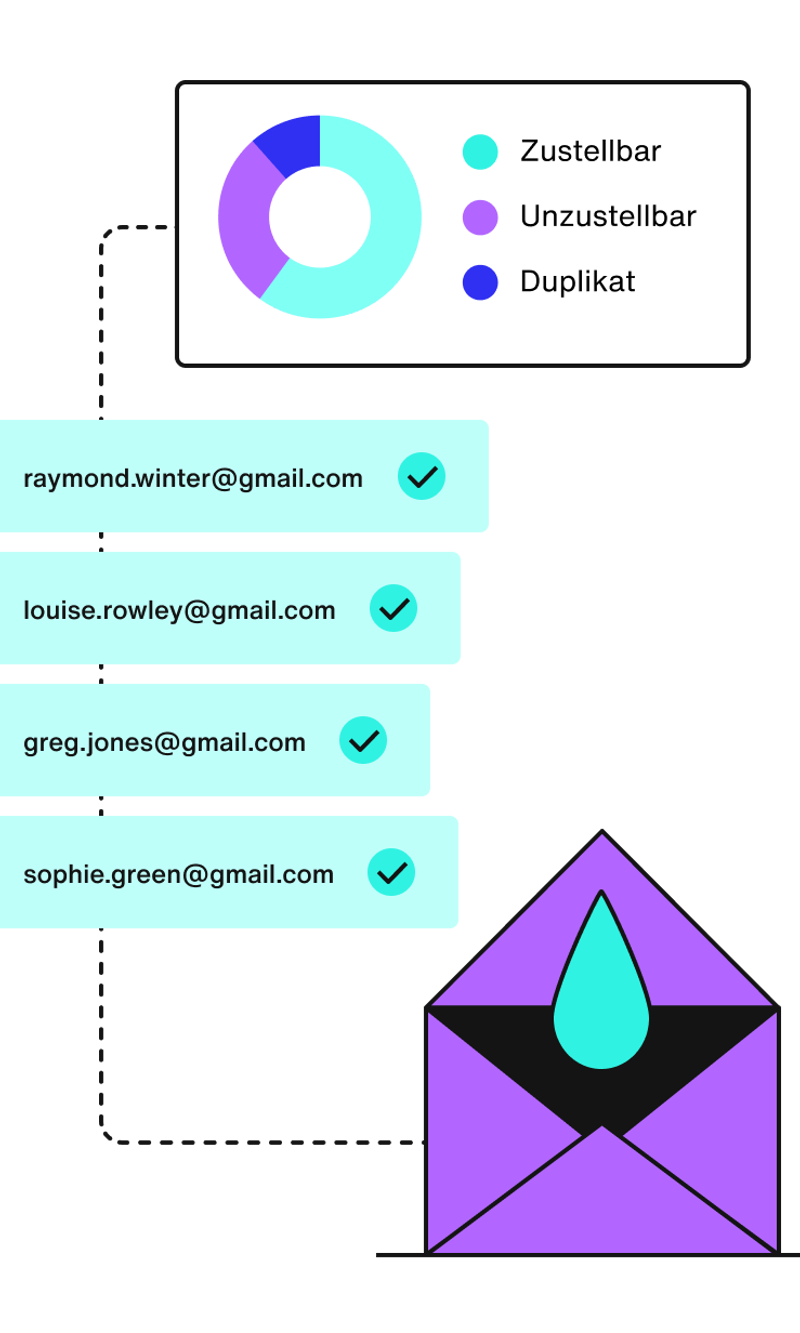 Bulk Email Cleanse DE