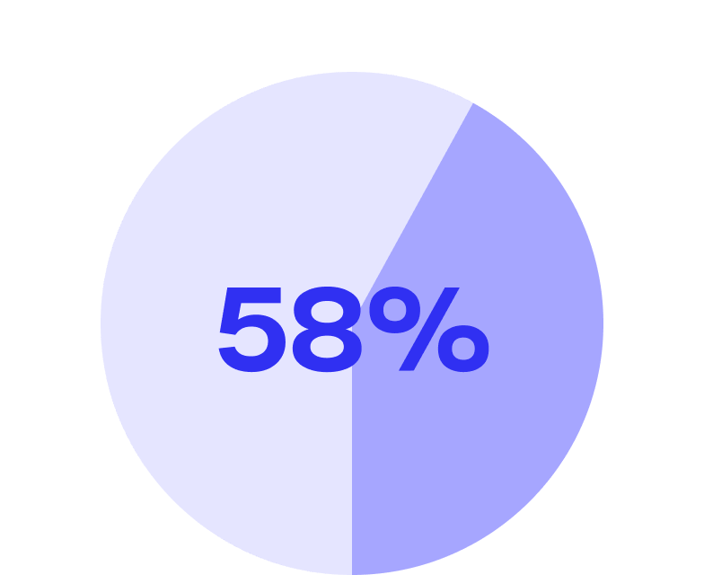 Pie Chart 58